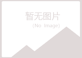 三水晓夏咨询有限公司